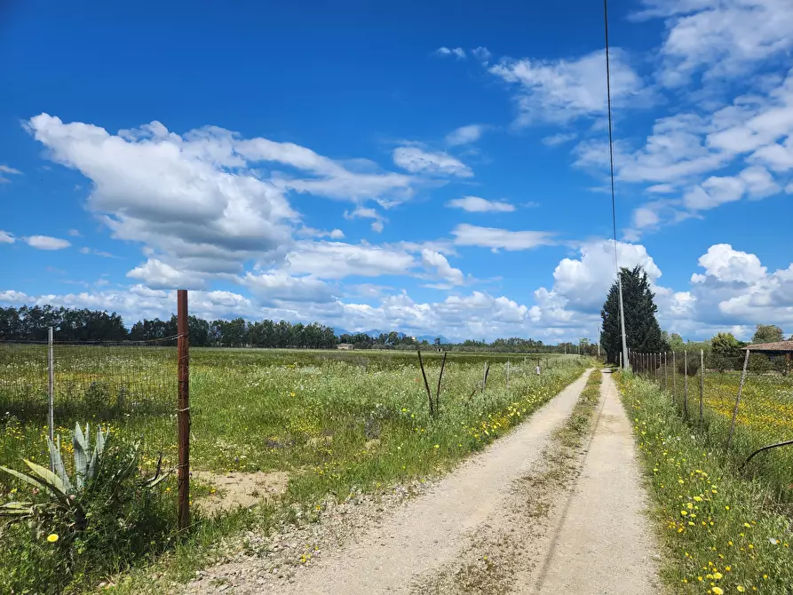 Immagine 2 di Terreno agricolo in vendita  a Decimomannu