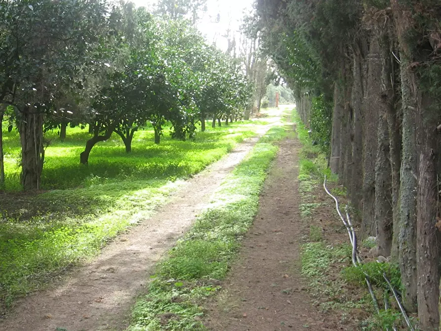 Immagine 1 di Terreno agricolo in vendita  a Monastir