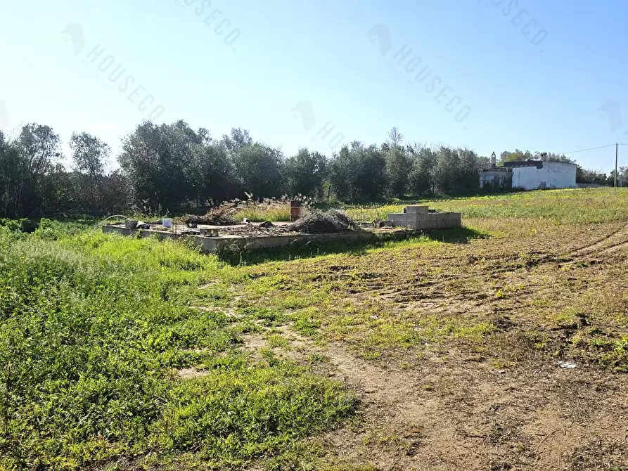 Immagine 1 di Terreno agricolo in vendita  in Via delle Viole SNC a Quartucciu