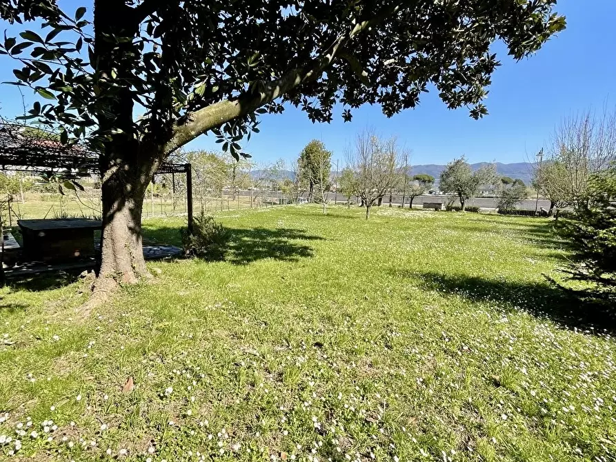 Immagine 24 di Casa semindipendente in vendita  a Ameglia