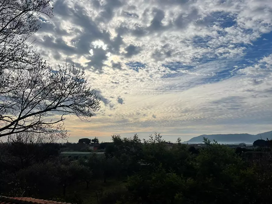 Immagine 13 di Villa in vendita  a Castelnuovo Magra