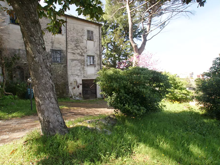 Immagine 2 di Casa trifamiliare in vendita  a Arcola