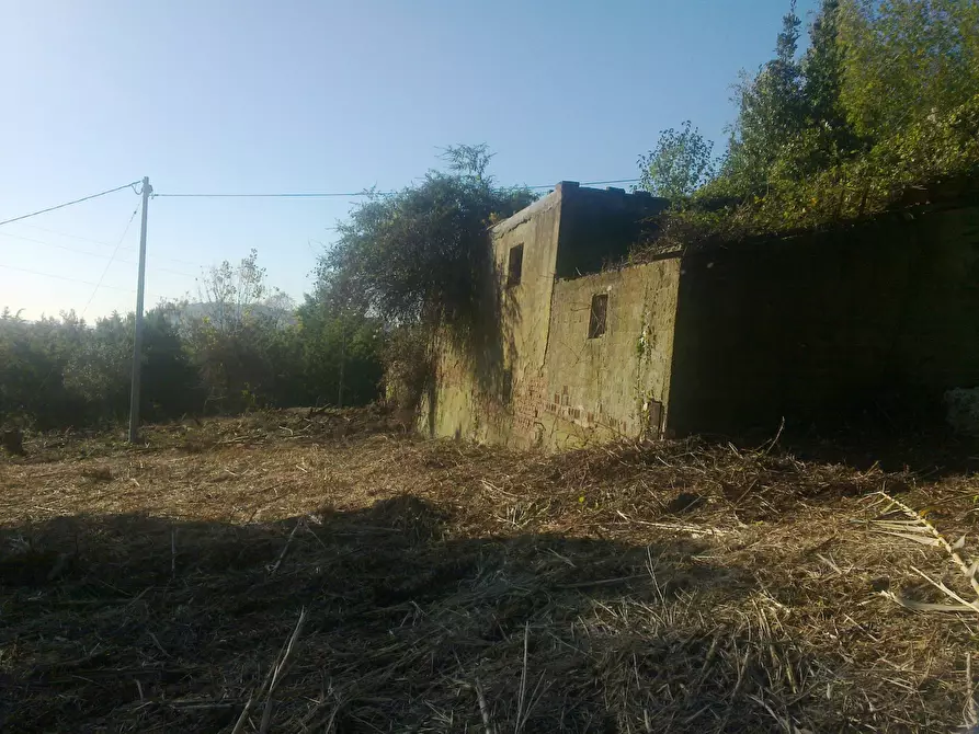 Immagine 3 di Terreno edificabile in vendita  a Ortonovo