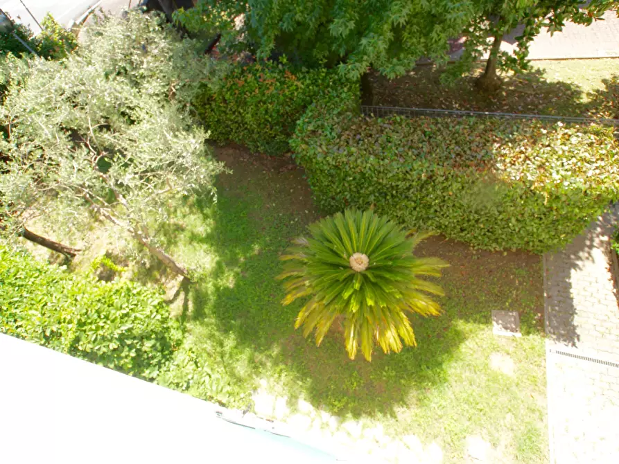 Immagine 12 di Terratetto in vendita  a Ameglia