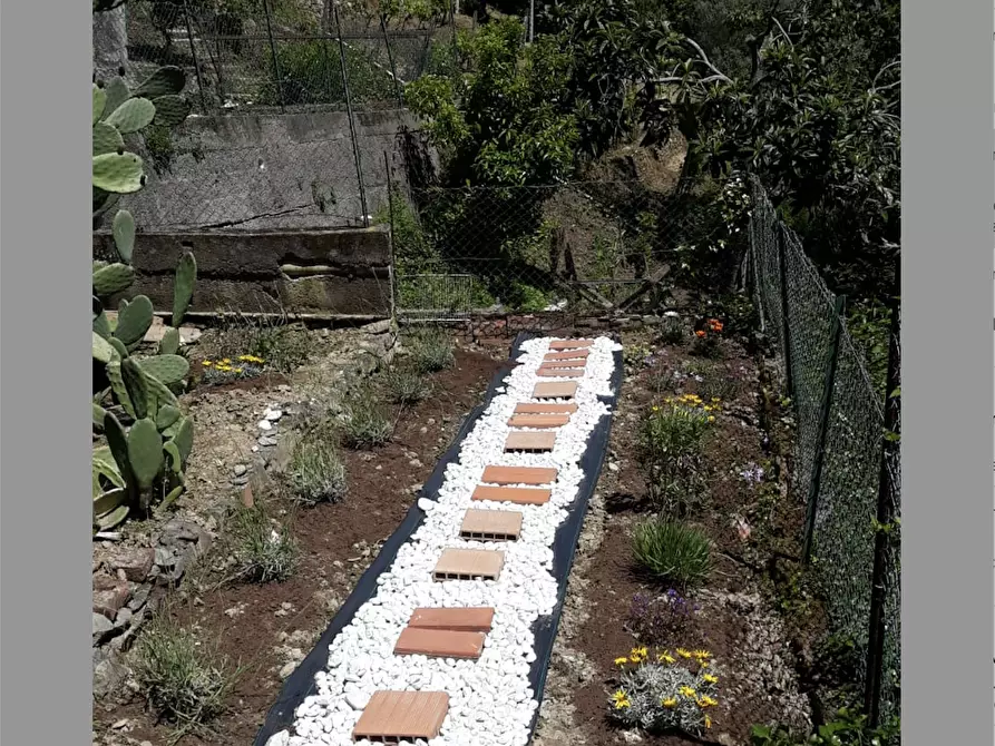 Immagine 2 di Casa indipendente in vendita  a Ameglia