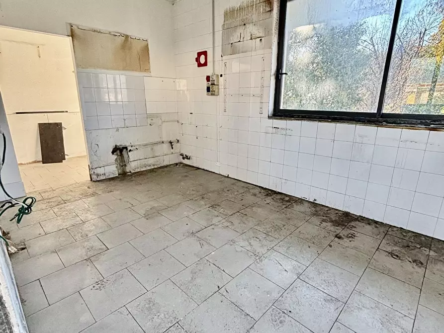 Immagine 5 di Bar / Ristorante in vendita  a Ameglia