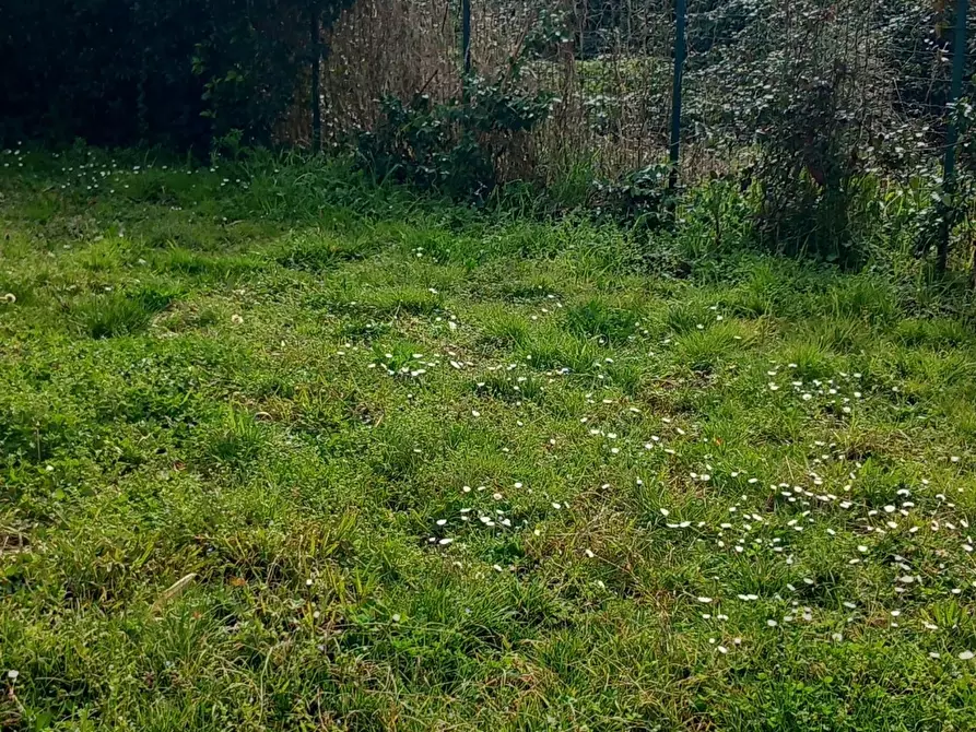 Immagine 12 di Appartamento in vendita  in Via Pecorina a Sarzana