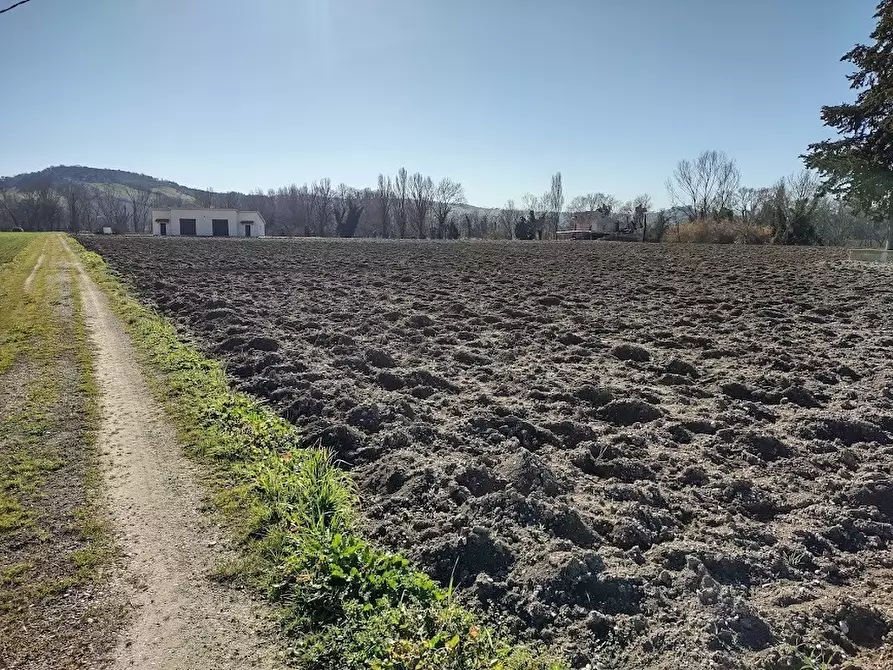 Immagine 2 di Terreno agricolo in vendita  a Jesi