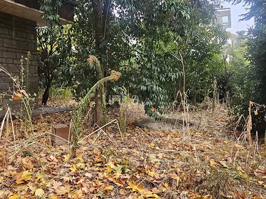 Immagine 9 di Casa indipendente in vendita  in Viale Verdi snc a Jesi