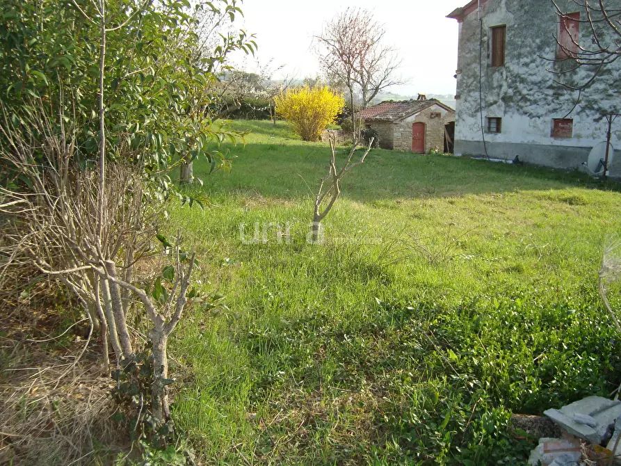 Immagine 14 di Casa indipendente in vendita  in via Barchio 2 a Cupramontana