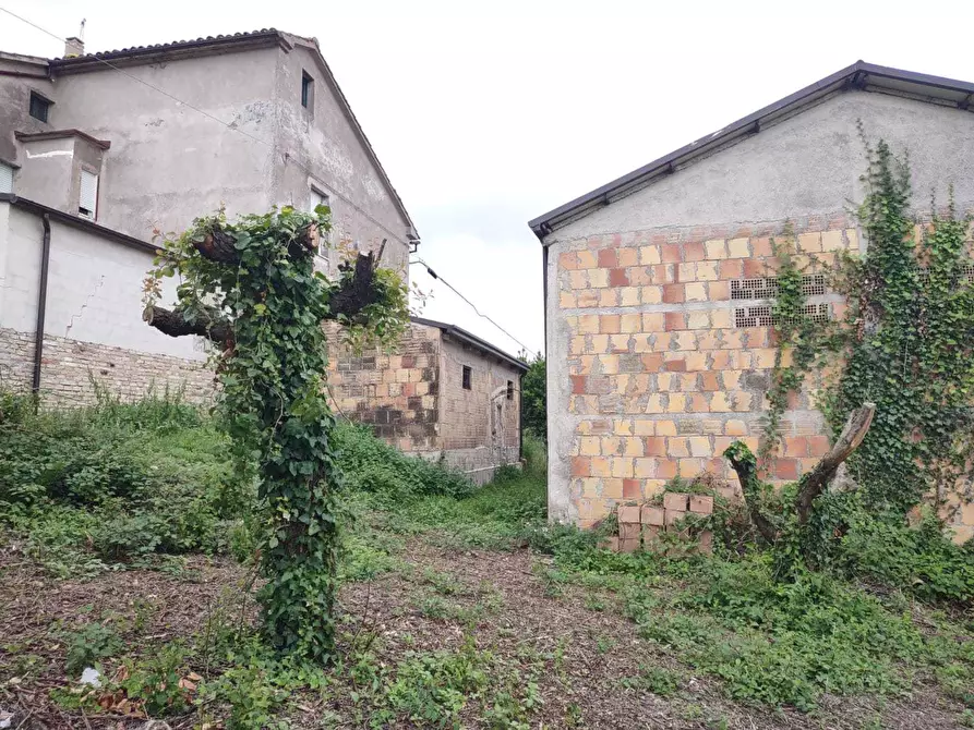 Immagine 6 di Casa indipendente in vendita  a Morro D'alba