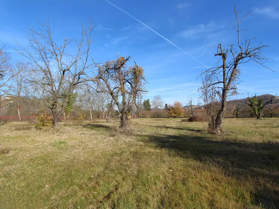 Immagine 63 di Casa indipendente in vendita  in Via Sant'Andrea a Valsamoggia