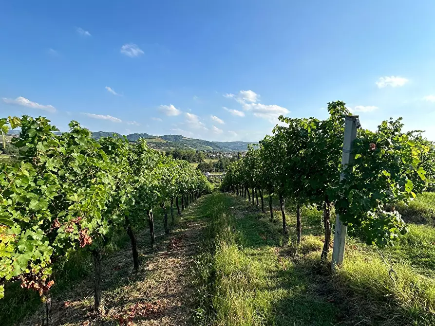 Immagine 12 di Porzione di casa in vendita  in Via Barlete a Valsamoggia