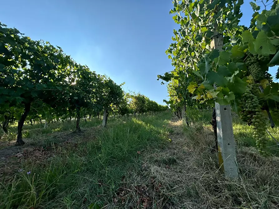 Immagine 11 di Porzione di casa in vendita  in Via Barlete a Valsamoggia