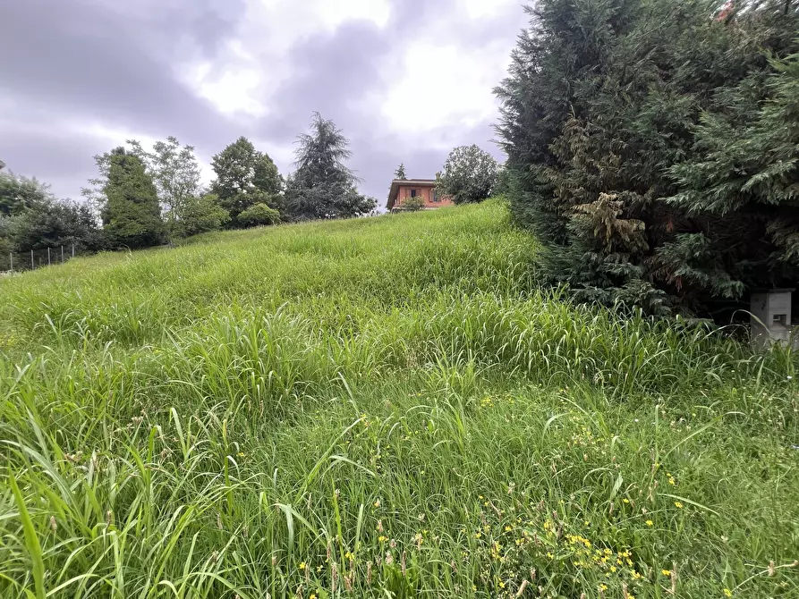 Immagine 13 di Terreno agricolo in vendita  in Via Stella a Valsamoggia