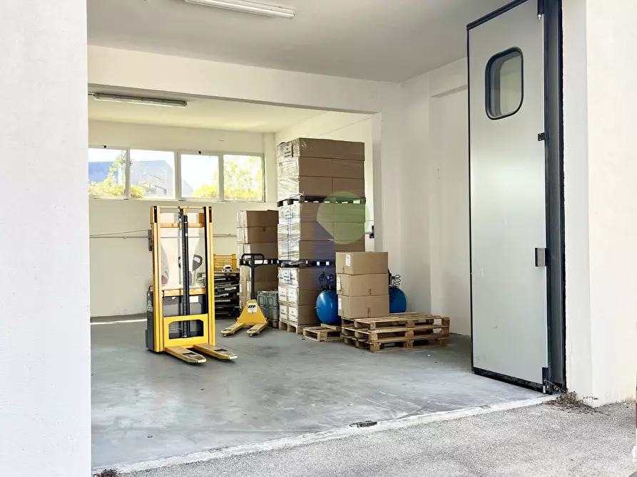Immagine 3 di Attività artigianale in vendita  in Via Aurelio Nicolodi 46 a Livorno