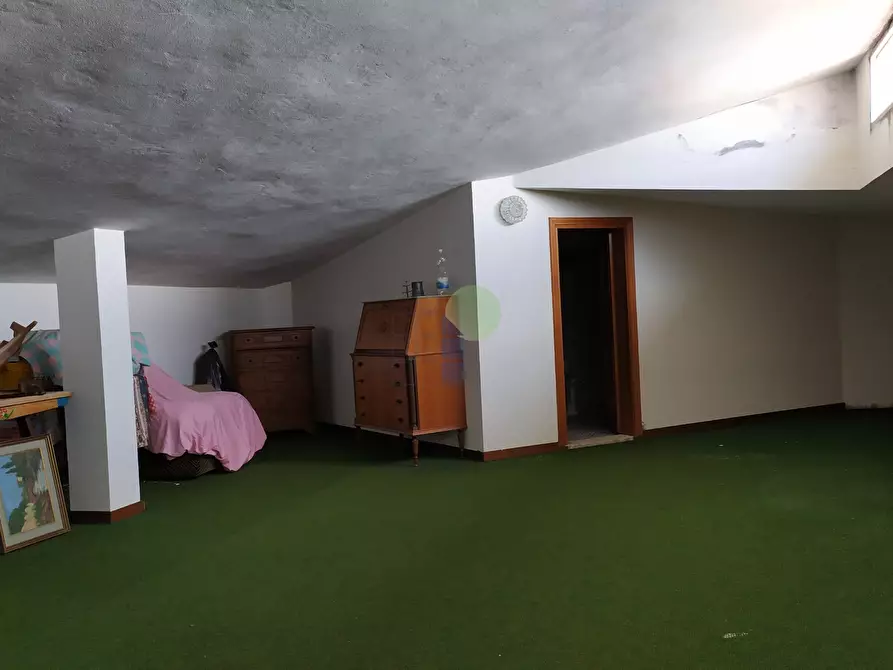 Immagine 13 di Pentalocale in vendita  in Viale Padre Nicola Magri 4 a Livorno