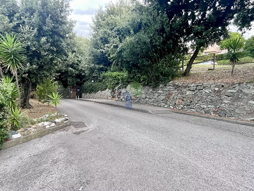 Immagine 21 di Appartamento in vendita  in Via Aurelia 820 a Rosignano Marittimo