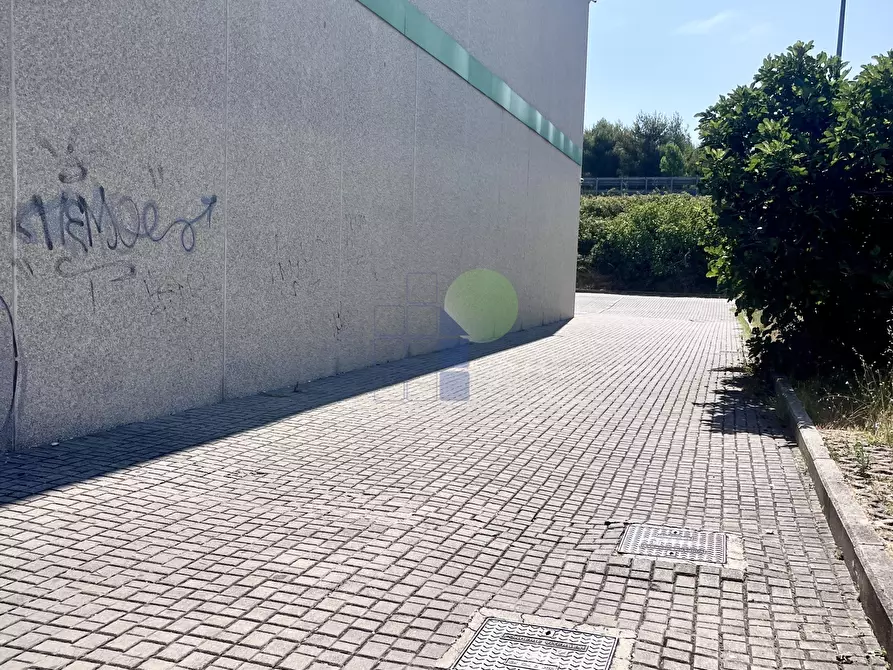 Immagine 5 di Attività artigianale in vendita  in Via Cimarosa 111 a Livorno