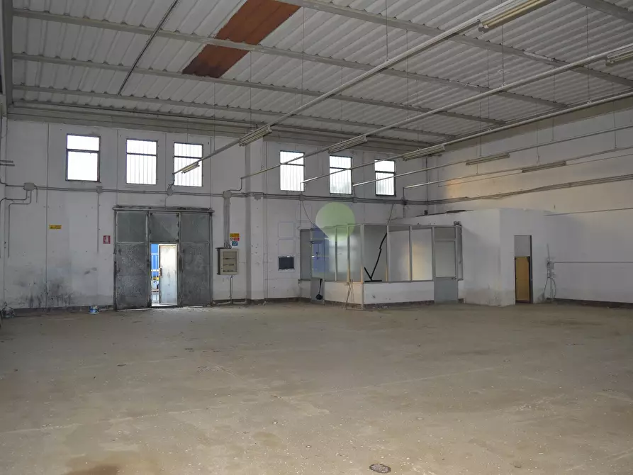 Immagine 2 di Capannone industriale in affitto  in Via Aurelia 76 a Collesalvetti