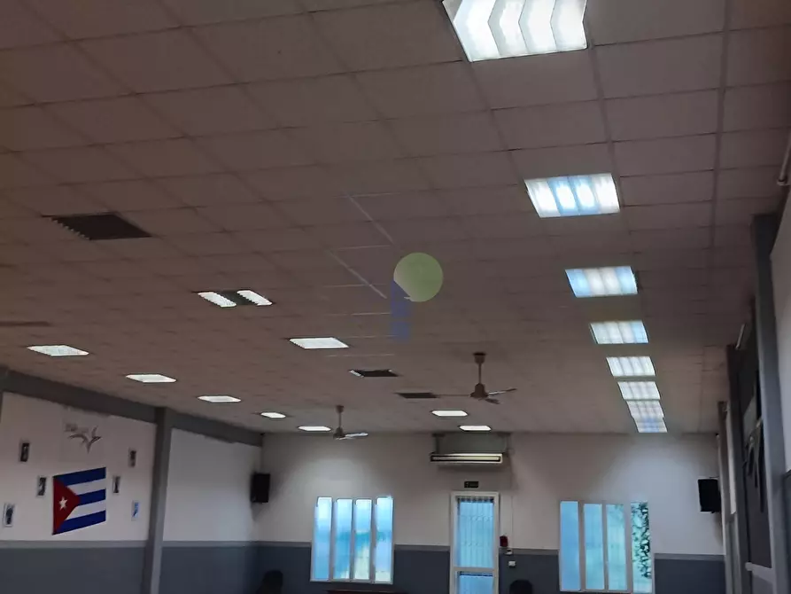 Immagine 3 di Attività artigianale in vendita  in Viale Giacomo Leopardi 41 a Livorno