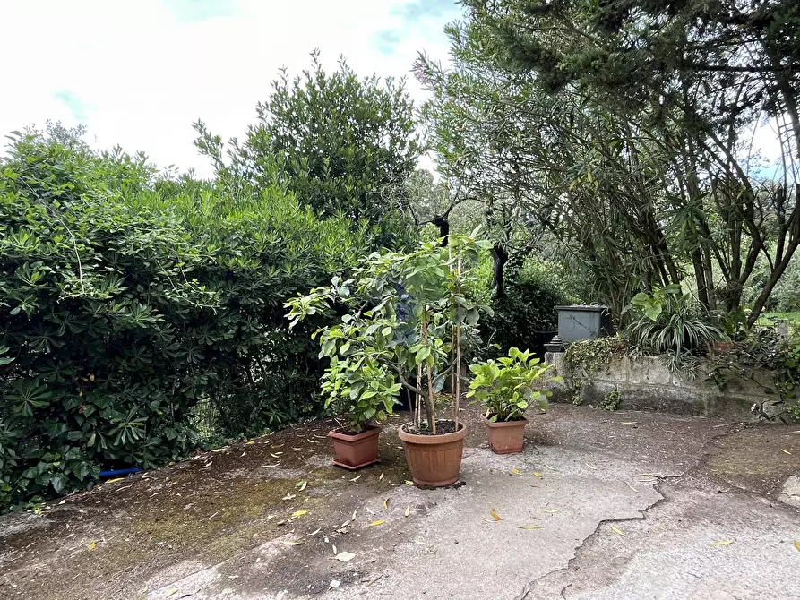 Immagine 9 di Terreno agricolo in vendita  in Via di Popogna 441 a Livorno