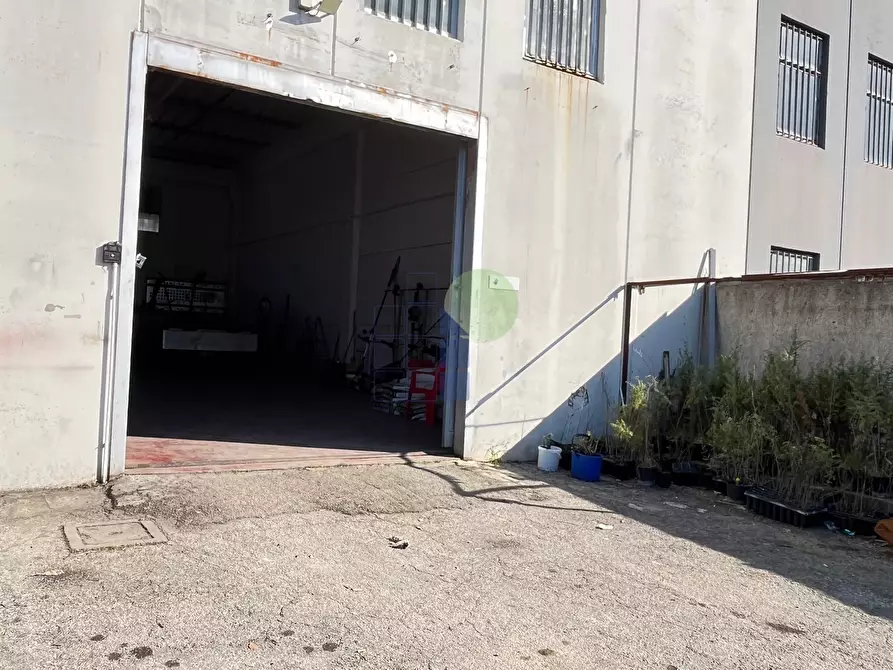 Immagine 19 di Capannone industriale in affitto  in Via Aurelia 76 a Collesalvetti