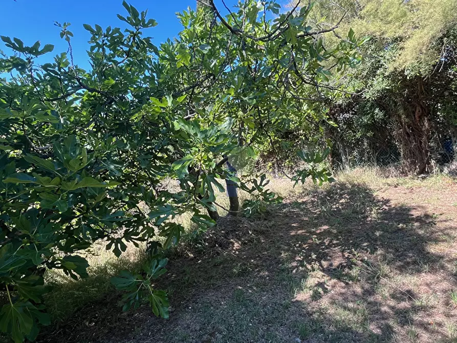 Immagine 15 di Terreno agricolo in vendita  in Via delle More 8 a Livorno