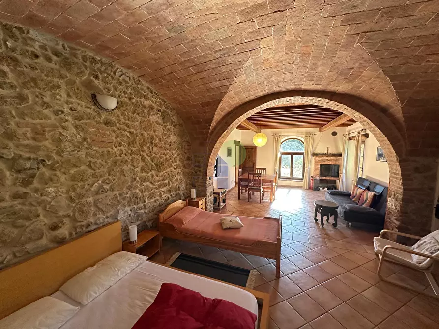 Immagine 3 di Rustico / casale in vendita  in STRADA VICINALE a Monterotondo Marittimo