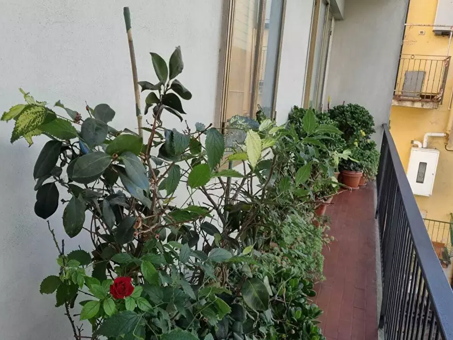 Immagine 19 di Pentalocale in vendita  in Via Fabio Filzi 9 a Prato
