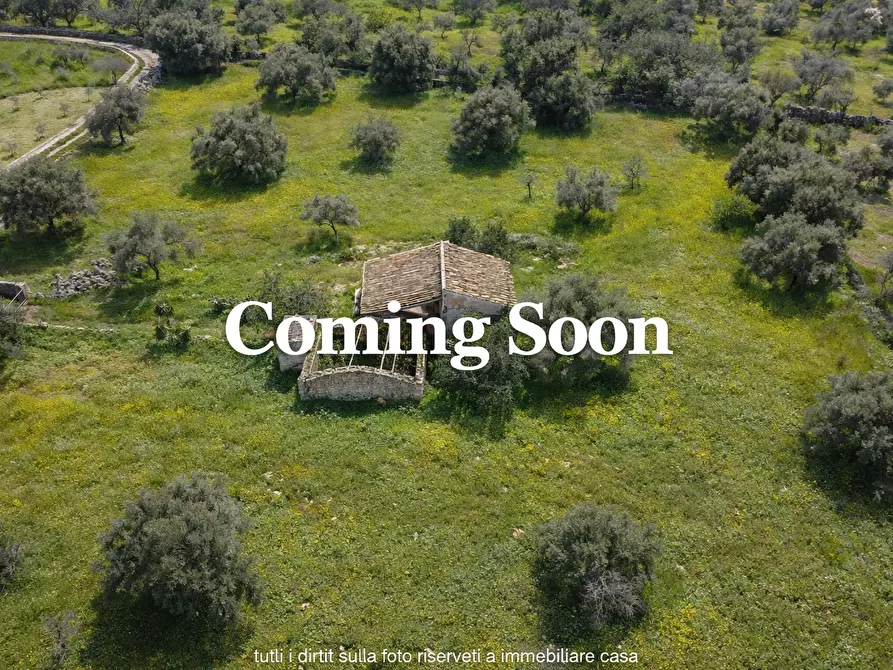 terreno agricolo in vendita a Noto