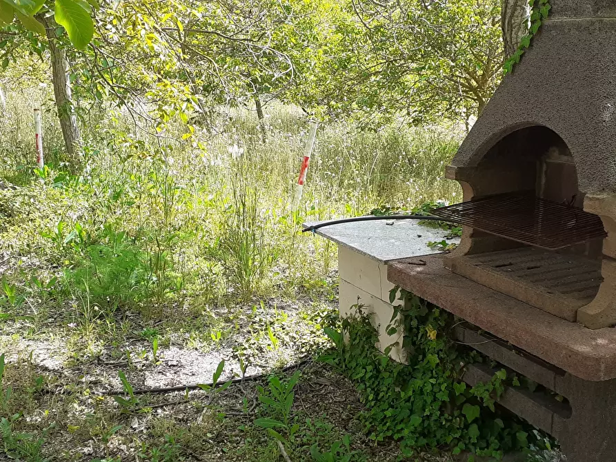 Immagine 32 di Terreno agricolo in vendita  in Strada Statale 287 a Noto
