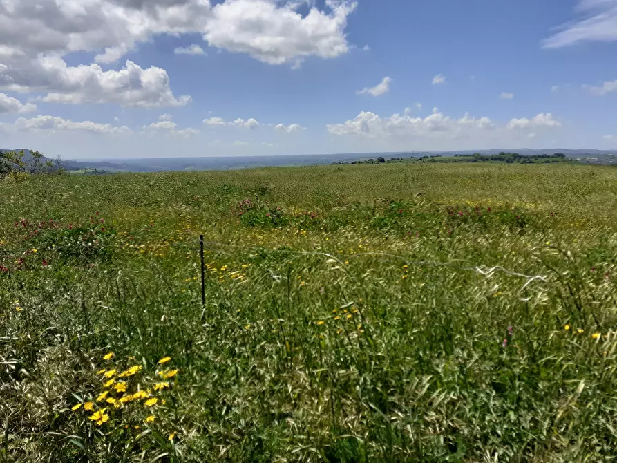 Immagine 5 di Terreno agricolo in vendita  in c.da Poi a Palazzolo Acreide
