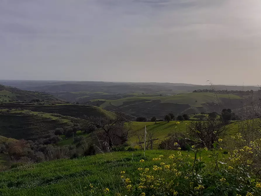 Immagine 62 di Rustico / casale in vendita  in c.da Poi a Palazzolo Acreide