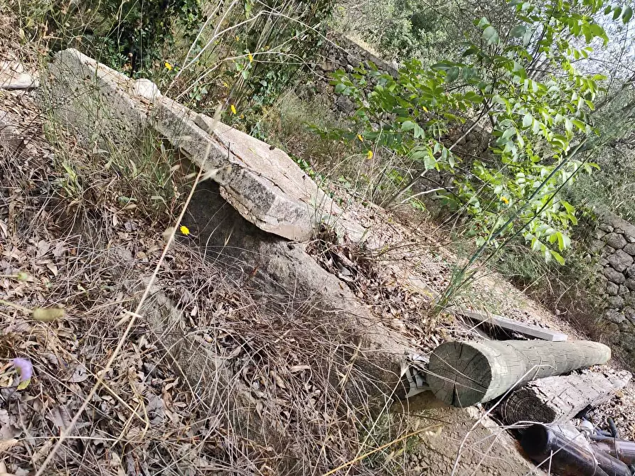 Immagine 10 di Terreno agricolo in vendita  in Strada Provinciale 14 5 a Noto
