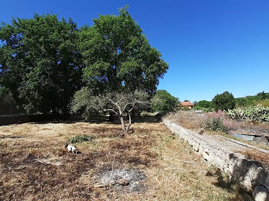 Immagine 34 di Rustico / casale in vendita  in Strada Provinciale 24 21 a Noto
