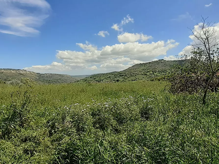 Immagine 35 di Rustico / casale in vendita  in c.da Poi a Palazzolo Acreide