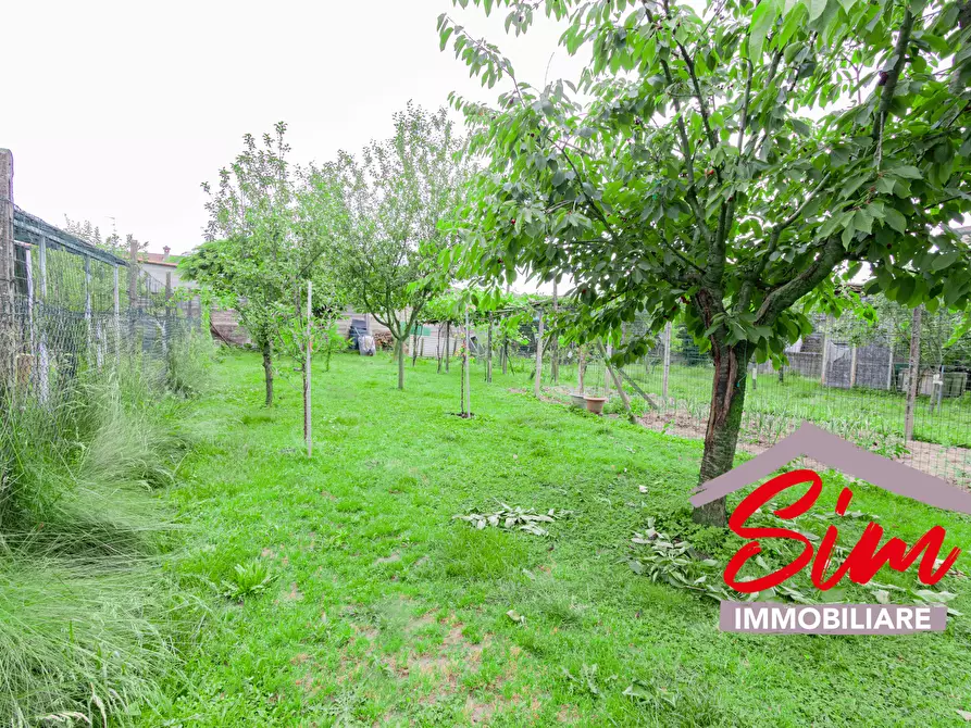 Immagine 24 di Terratetto in vendita  in Via San Giovanni snc a Borgolavezzaro