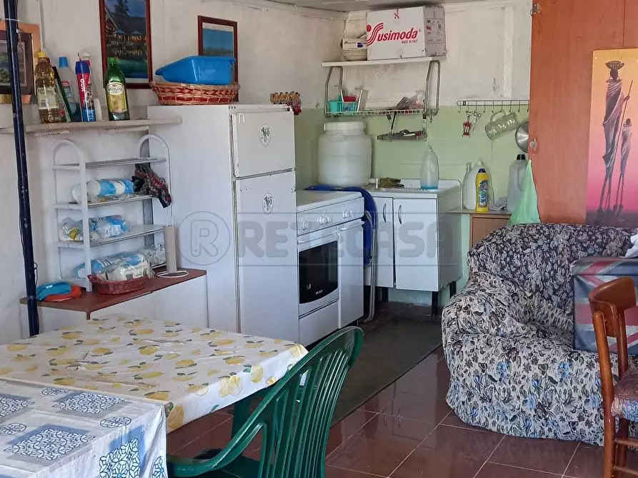 Immagine 3 di Terreno agricolo in vendita  a Maglie