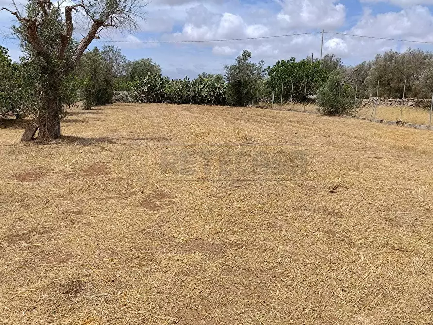 Immagine 2 di Terreno agricolo in vendita  a Corigliano D'otranto