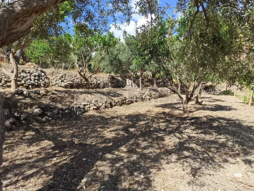 Immagine 13 di Rustico / casale in vendita  in Contrada Sant'Anna 39 a Messina