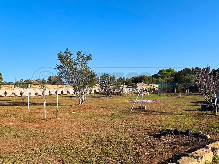 Immagine 3 di Terreno agricolo in vendita  in Via Stefano Catalano 5 a Gallipoli