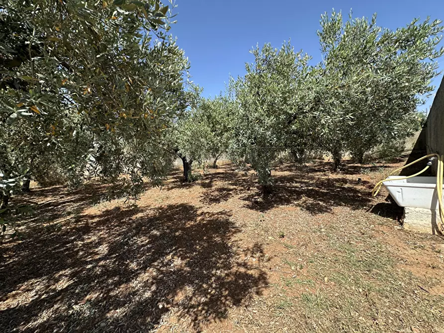 Immagine 28 di Villa in vendita  a Mazara Del Vallo