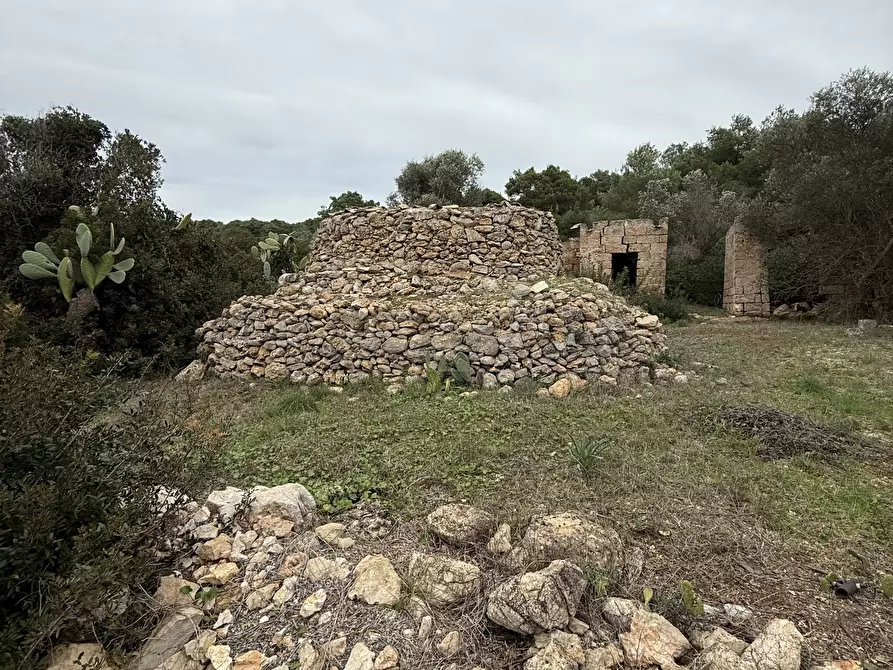 Immagine 4 di Casa indipendente in vendita  in SP286 102 a Nardo'