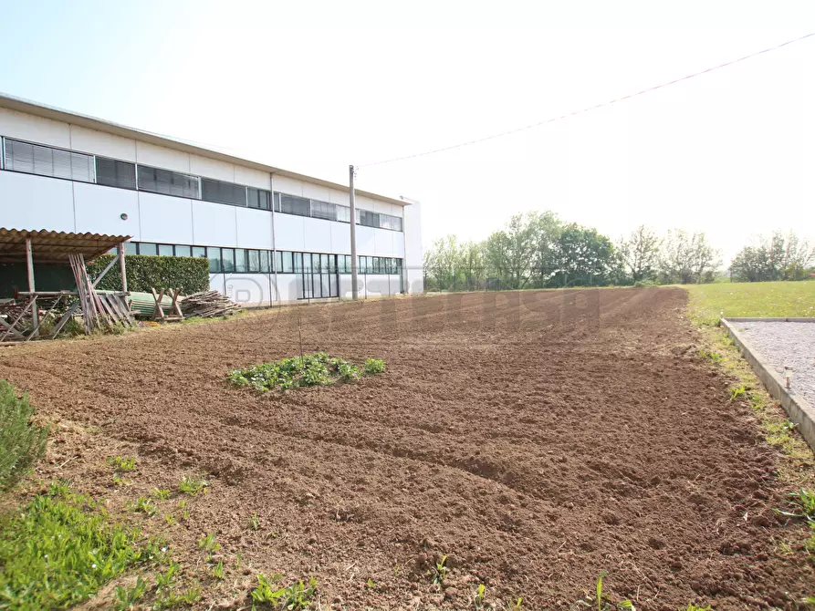Immagine 34 di Porzione di casa in vendita  in Via Riviera Berica a Nanto