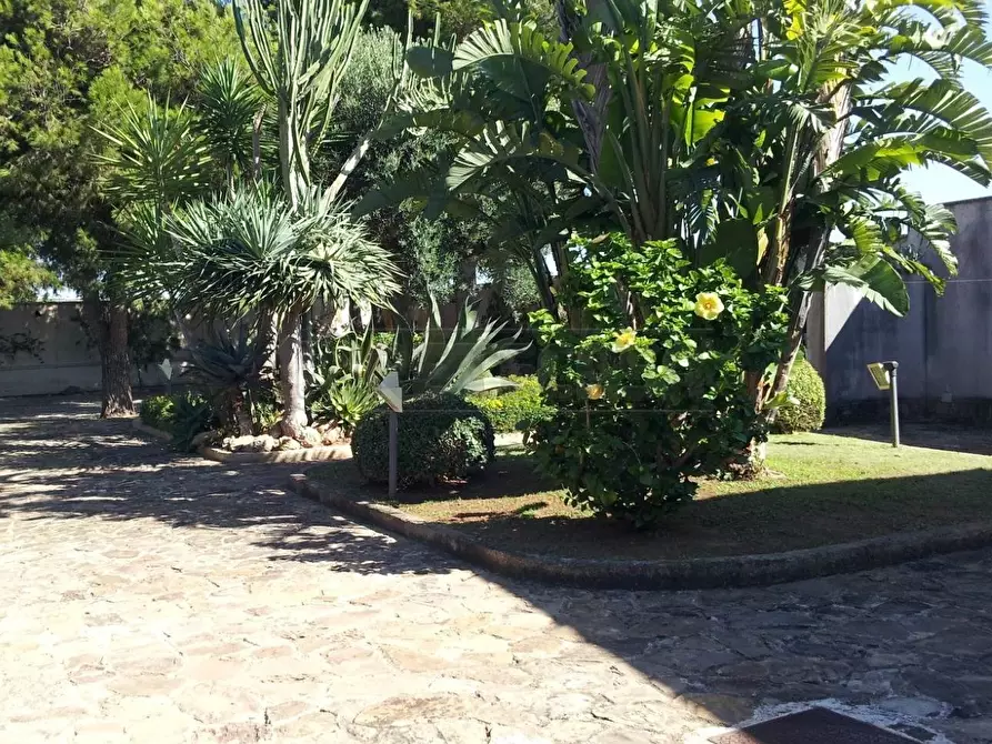 Immagine 33 di Villa in vendita  in contrada spagnola snc a Marsala