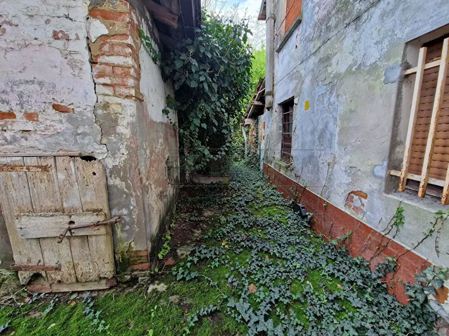 Immagine 10 di Rustico / casale in vendita  in Via Nervi a San Daniele Po