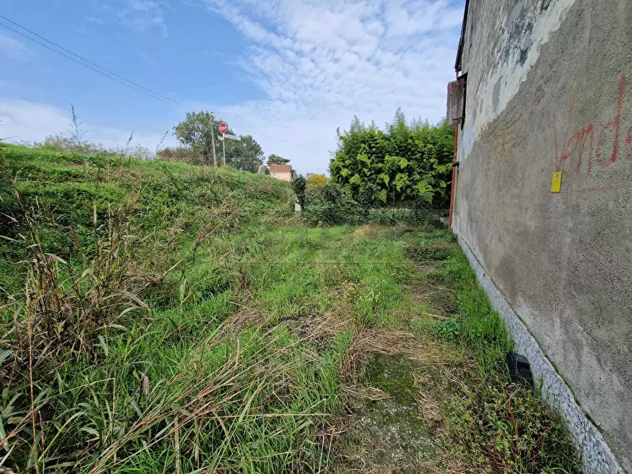 Immagine 7 di Rustico / casale in vendita  in Via Nervi a San Daniele Po