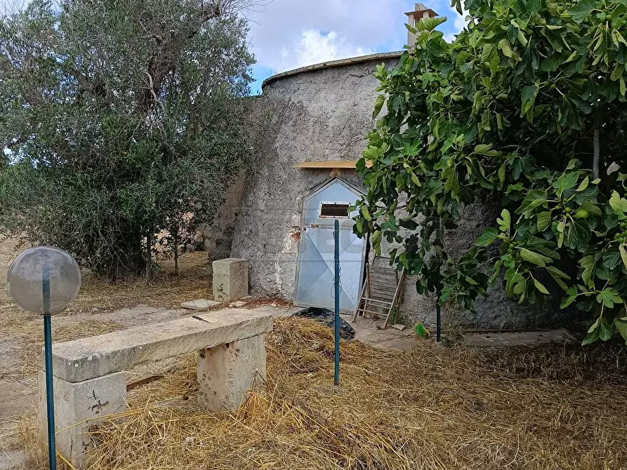 Immagine 4 di Terreno agricolo in vendita  a Corigliano D'otranto