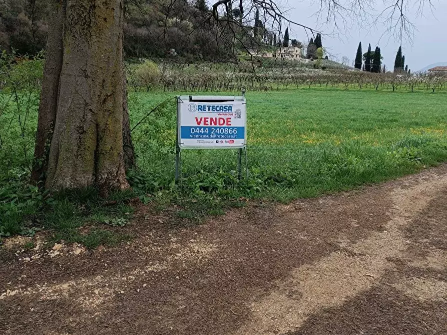 Immagine 2 di Terreno agricolo in vendita  a Castegnero
